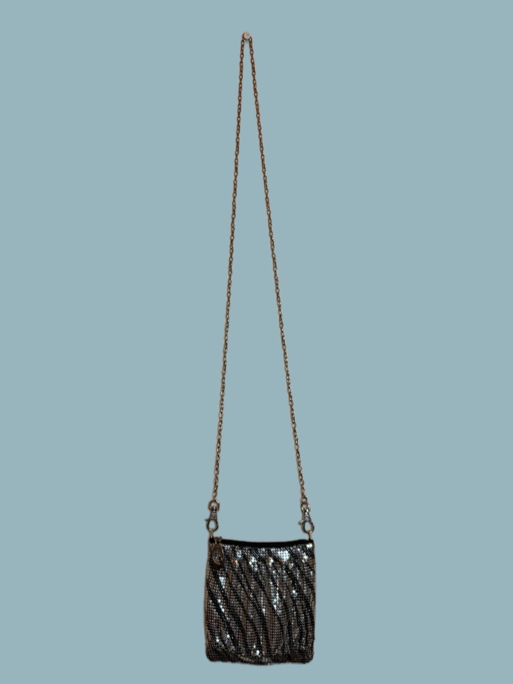 🦓Vintage Y2K Metallic Mesh Mini Bag🦓